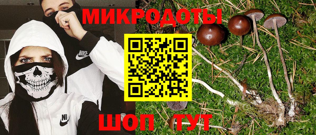 Галлюциногенные грибы мухоморы  Вход с VPN  Иваново 